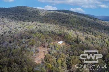 Farm Sold - NSW - Glen Innes - 2370 - Secluded Bush Retreat on 40.47 ha Lifestyle Block  (Image 2)