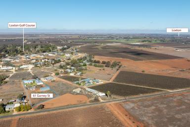 Farm For Sale - SA - Loxton North - 5333 - Eco-Friendly Homestead  (Image 2)