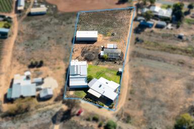 Farm For Sale - SA - Loxton North - 5333 - Eco-Friendly Homestead  (Image 2)