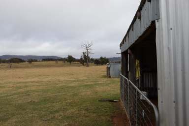 Farm For Sale - NSW - Walcha - 2354 - Look no Further - Tablelands Retreat with a Difference  (Image 2)