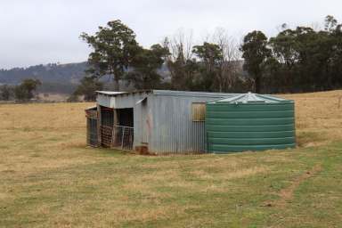 Farm For Sale - NSW - Walcha - 2354 - Look no Further - Tablelands Retreat with a Difference  (Image 2)