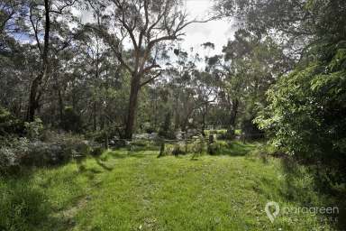 Farm For Sale - VIC - Agnes - 3962 - RURAL LIVING  (Image 2)