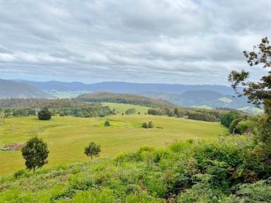 Farm For Sale - TAS - Weldborough - 7264 - Farmland with Water, Natural Bush, Great Views and passive income. 584 acres at Weldborough Pass.  (Image 2)