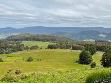 Farm For Sale - TAS - Weldborough - 7264 - Farmland with Water, Natural Bush, Great Views and income. 584 acres at Weldborough Pass.  (Image 2)