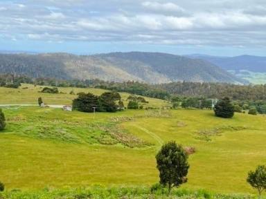 Farm For Sale - TAS - Weldborough - 7264 - Farmland with Water, Natural Bush, Great Views and passive income. 584 acres at Weldborough Pass.  (Image 2)