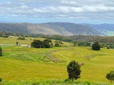 Farm For Sale - TAS - Weldborough - 7264 - Farmland with Water, Natural Bush, Great Views and income. 584 acres at Weldborough Pass.  (Image 2)