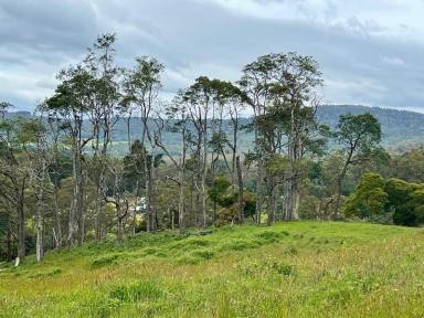 Farm For Sale - TAS - Weldborough - 7264 - Fresh air, Mountain Views, and Green Pasture. Weldborough.  (Image 2)