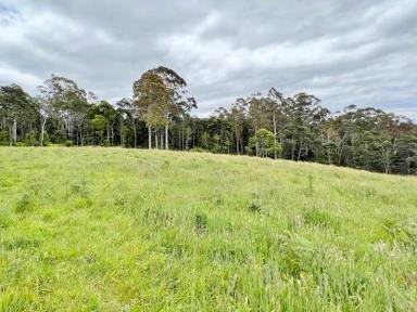 Farm For Sale - TAS - Weldborough - 7264 - Fresh air, Mountain Views, and Green Pasture. Weldborough.  (Image 2)