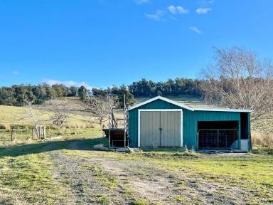 Farm For Sale - TAS - Loira - 7275 - 5 titles totaling 59ha land - Water, Power, Sun and River Views.  West Tamar Wine Region. From $200,000  (Image 2)