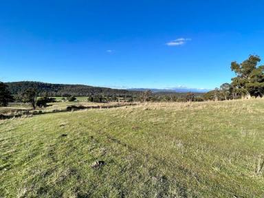 Farm For Sale - TAS - Loira - 7275 - 5 titles totaling 59ha land - Water, Power, Sun and River Views.  West Tamar Wine Region. From $200,000  (Image 2)