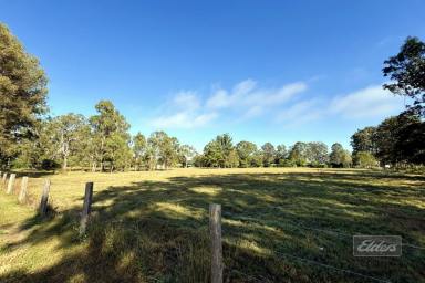 Farm For Sale - QLD - Tiaro - 4650 - BIG BLOCK GREAT PRICE!  (Image 2)