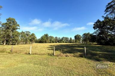 Farm For Sale - QLD - Tiaro - 4650 - BIG BLOCK GREAT PRICE!  (Image 2)