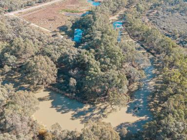 Farm For Sale - VIC - Kerang - 3579 - LIFESTLYE PROPERTY ON THE CREEK  (Image 2)