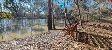 Farm For Sale - VIC - Kerang - 3579 - LIFESTLYE PROPERTY ON THE CREEK  (Image 2)