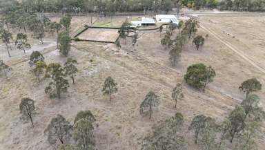 Farm For Sale - QLD - Mannuem - 4610 - LOCATION ++++ - Just 15 km from Kumbia & 30 km from Kingaroy within the RENOWN District of MANNUEM  (Image 2)