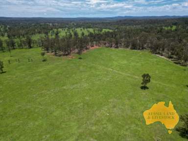 Farm For Sale - QLD - Mount Perry - 4671 - Ideal Grazing Block  (Image 2)