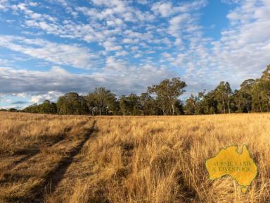 Farm For Sale - QLD - Mount Perry - 4671 - Ideal Grazing Block  (Image 2)