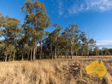 Farm For Sale - QLD - Mount Perry - 4671 - Ideal Grazing Block  (Image 2)