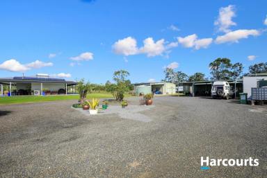 Farm For Sale - QLD - Buxton - 4660 - 5.1 ACRES OF PARADISE IN BEAUTIFUL BUXTON  (Image 2)