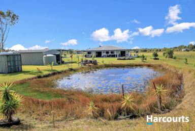 Farm For Sale - QLD - Buxton - 4660 - 5.1 ACRES OF PARADISE IN BEAUTIFUL BUXTON  (Image 2)