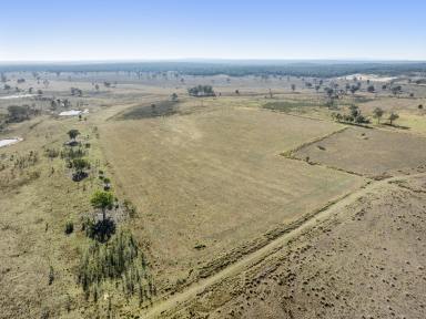 Farm For Sale - QLD - Rocky Creek - 4357 - Take 'Pine Park' to the Next Level  (Image 2)