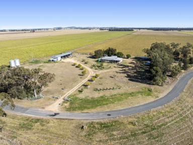 Farm For Sale - QLD - Punchs Creek - 4357 - Versatile Inner Downs Brigalow Belah Mixed Farming Enterprise  (Image 2)