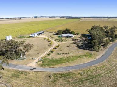 Farm Sold - QLD - Punchs Creek - 4357 - Versatile Inner Downs Brigalow Belah Mixed Farming Enterprise  (Image 2)