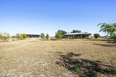 Farm Sold - QLD - Punchs Creek - 4357 - Versatile Inner Downs Brigalow Belah Mixed Farming Enterprise  (Image 2)