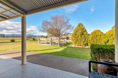 Farm For Sale - QLD - Yangan - 4371 - "ROCKBRAE" THE COMPLETE LIFESTYLE PACKAGE  (Image 2)