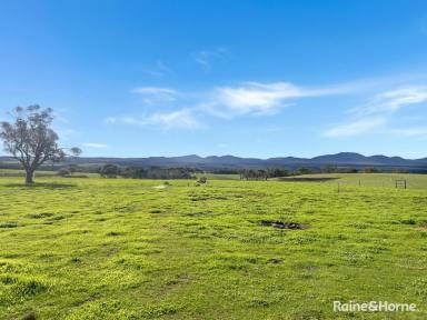 Farm For Sale - WA - Mount Barker - 6324 - Embrace the Idyllic Farm Life with Stunning Stirling Ranges Views!  (Image 2)