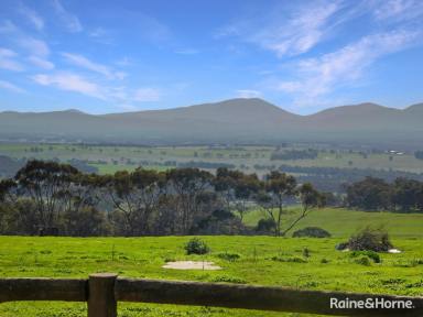 Farm For Sale - WA - Mount Barker - 6324 - Embrace the Idyllic Farm Life with Stunning Stirling Ranges Views!  (Image 2)