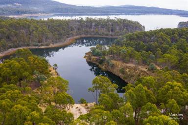 Farm For Sale - TAS - George Town - 7253 - Forestry/Lifestyle/Tourism Property  (Image 2)