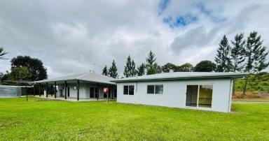 Farm For Sale - QLD - Julatten - 4074 - Tropical Lifestyle Acreage and income  (Image 2)