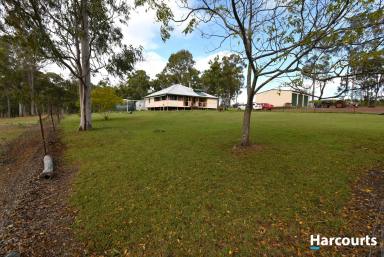 Farm For Sale - QLD - North Isis - 4660 - Private Cottage on 50 Acres!!  (Image 2)