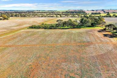 Farm Sold - SA - Riverton - 5412 - Offers Closed  (Image 2)