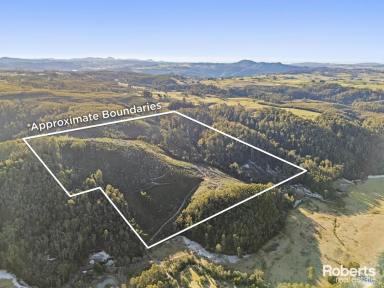 Farm For Sale - TAS - Claude Road - 7306 - Take a look at the video - Endless Potential: 148 Acres approx. of North West Tasmanian Beauty  (Image 2)