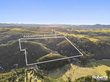 Farm For Sale - TAS - Claude Road - 7306 - Take a look at the video - Endless Potential: 148 Acres approx. of North West Tasmanian Beauty  (Image 2)