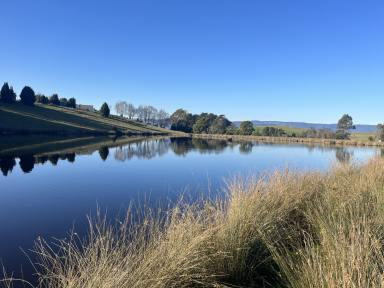 Farm For Sale - TAS - Legerwood - 7263 - Mixed Farming at Legerwood  (Image 2)