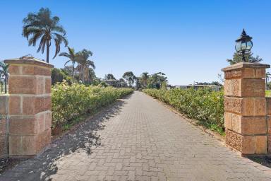 Farm For Sale - WA - Harvey - 6220 - PALM LAKE ESTATE - Elegant family entertaining  (Image 2)