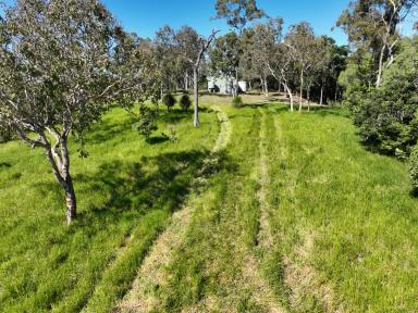 Farm For Sale - QLD - Hampden - 4741 - Ocean Views & Lifestyle Close to Mackay  (Image 2)