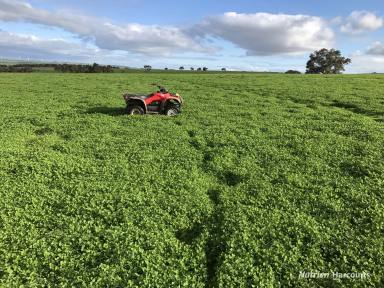 Farm For Sale - WA - Hill River - 6521 - "Some of WA's most premium Farmland"  (Image 2)