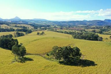 Farm For Sale - NSW - Woodenbong - 2476 - 393 ACRES OF IMPROVED PASTURE  (Image 2)