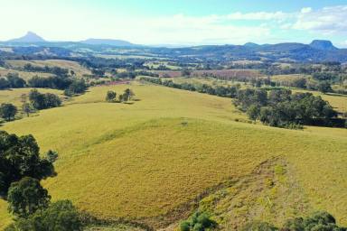 Farm For Sale - NSW - Woodenbong - 2476 - 393 ACRES OF IMPROVED PASTURE  (Image 2)