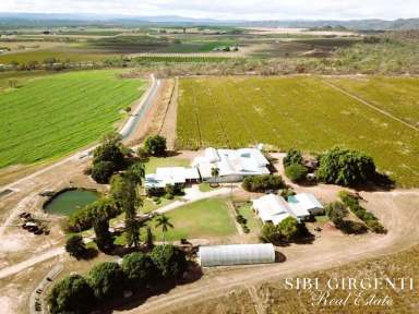 Farm For Sale - QLD - Dimbulah - 4872 - LIFESTYLE and RURAL PRODUCTIVITY ALL IN ONE  (Image 2)