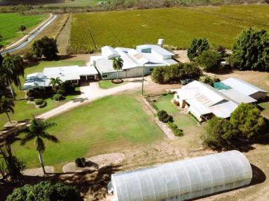 Farm For Sale - QLD - Dimbulah - 4872 - LIFESTYLE and RURAL PRODUCTIVITY ALL IN ONE  (Image 2)