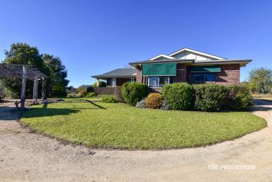 Farm For Sale - NSW - Inverell - 2360 - THERE'S NO PLACE LIKE "YAMALA"  (Image 2)