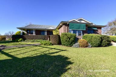 Farm For Sale - NSW - Inverell - 2360 - THERE'S NO PLACE LIKE "YAMALA"  (Image 2)