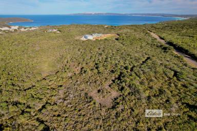 Farm For Sale - WA - Bremer Bay - 6338 - Coastal Tranquility  (Image 2)