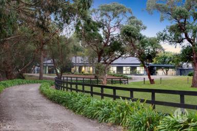 Farm For Sale - VIC - Blind Bight - 3980 - Country-Style Living with Poolside Deck, Large Shed & Mancave  (Image 2)