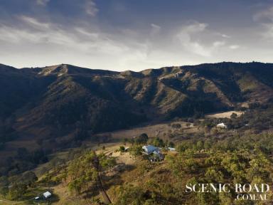 Farm For Sale - QLD - Running Creek - 4287 - Heaven on the Hillside in Running Creek Scenic Rim  (Image 2)